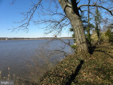 305 Fey Rd, Chestertown, MD 21620 - photo 5