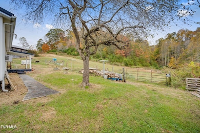 1251 Purchase Ridge Rd, Duffield, VA 24244 - photo 5