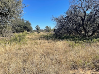 708 Safe Harbor, Brownwood, TX 76801 - photo 3