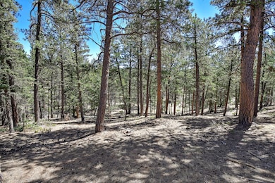 860 Spring Creek Dr, Divide, CO 80814 - photo 2