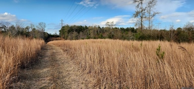 TBD-Tract 1 Gilead Rd, Clinton, LA 70722 - photo 3