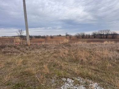 0 Highway 116 & Shinn Ln, Lathrop, MO 64465 - photo 2