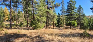 160 Torto Loop, Kila, MT 59920 - photo 7