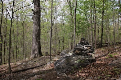 0 Drummer Hill Rd unit LotWP001 23302419, Front Royal, VA 22630 - photo 2