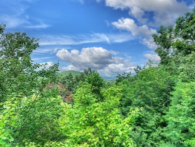 LOT 20 Locust Ln, Morganton, GA 30560 - photo 7