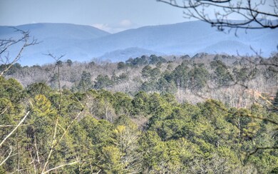 Additional View