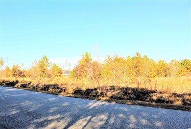 000 Samuel Rd unit 3769 E Highway 9 Bus, Loris, SC 29569 - photo 5