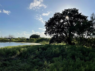 136 Tobiano Trace, Brock, TX 76087 - photo 3