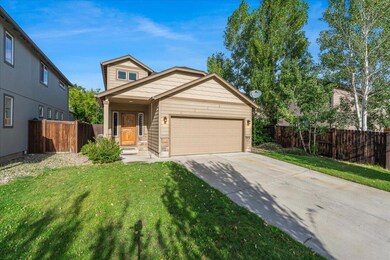 04-61131 Brown Trout Pl-3