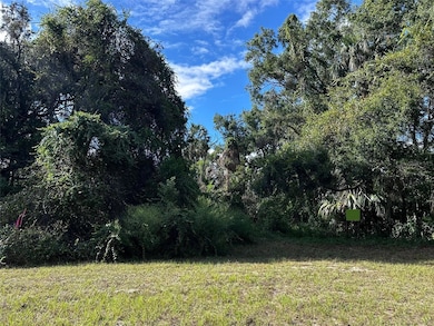 722 Highway 40 W, Inglis, FL 34449 - photo 7