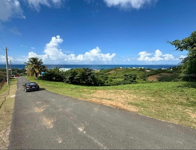 653 Calle Bastimiento, Vieques, PR 00765 - photo 5