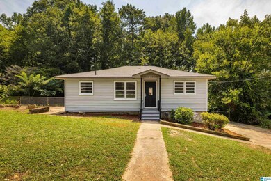 317 21st Ave NE, Center Point, AL 35215 - photo 2