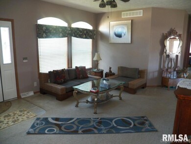 4324 Evergreen Dr, Galesburg, IL 61401 - photo 5