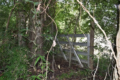 0 Colony unit 35802156, Angleton, TX 77515 - photo 6