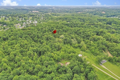 7-web-or-mls-DJI_0544 - Copy