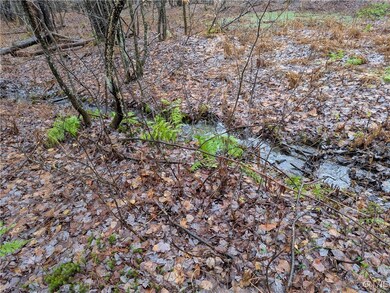 0 Ryan Rd, Williamstown, NY 13493 - photo 6