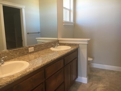 Owner's Bathroom