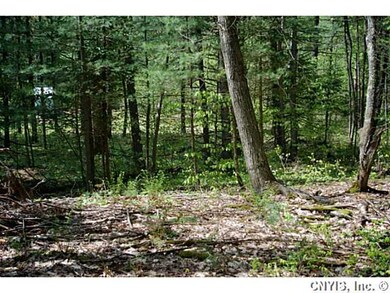Land/Lot