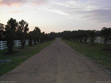 Looking Out to Forge Road