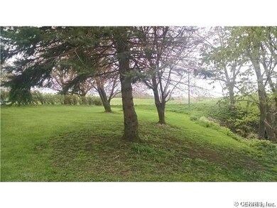 Yard.