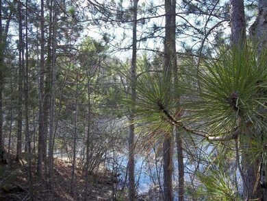 10797 Poplar Dr, Tomahawk, WI 54487 - photo 7