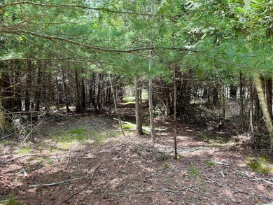 2 Seymour St, Onekama Township, MI 49675 - photo 6