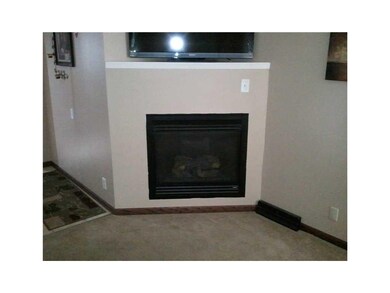 Other. Fireplace