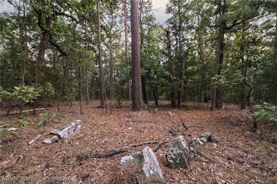 TBD NE 120th Rd, Red Oak, OK 74563 - photo 2