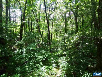 4 Laurel Ct unit LAUREL RIDGE 99, Nellysford, VA 22958 - photo 3