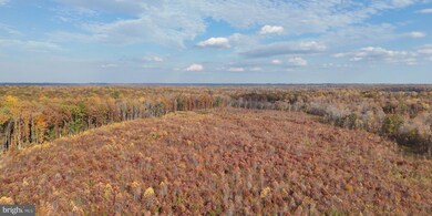 0 Grasty Goldmine Rd unit VAOR2006002, Rhoadesville, VA 22542 - photo 2