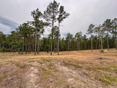 0 Guerrant Rd N unit 23220622, Huntsville, TX 77320 - photo 6