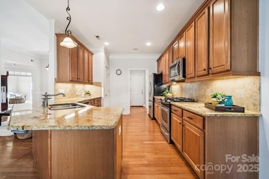 120 Elizabeth Hearth Rd, Mooresville, NC 28115 - photo 6