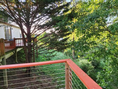 Back Deck