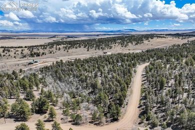 1430 Singletree Rd, Hartsel, CO 80449 - photo 2