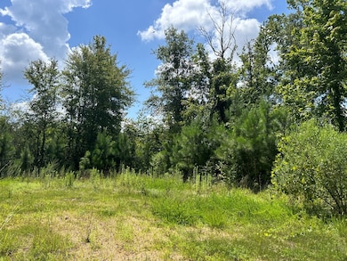 TBD Hwy 570 River Road N Shell Oil Rd, Summit, MS 39666 - photo 3