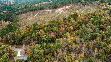 LOT 48 Lower Creek Trail, Ellijay, GA 30540 - photo 4