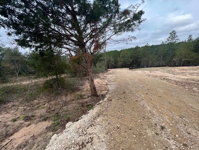 Driveway/crushed shell