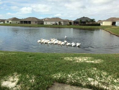 Back yard pond view.