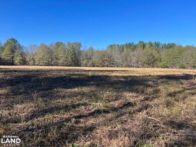 0 Hayes Crossing Rd unit 25566057, Millport, AL 35576 - photo 6