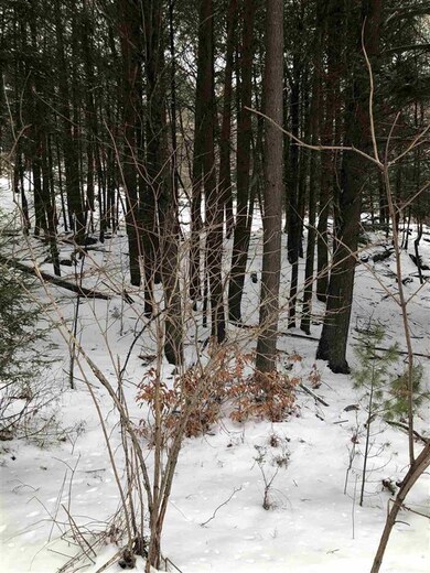 0 Sugarhill Ln unit 3124 4847726, Hartford, VT 05001 - photo 3