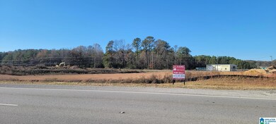 000 Coldwater Rd, Oxford, AL 36203 - photo 6