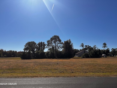 Lot 90 Lindsay Ln, Crescent City, FL 32112 - photo 4