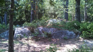 The site