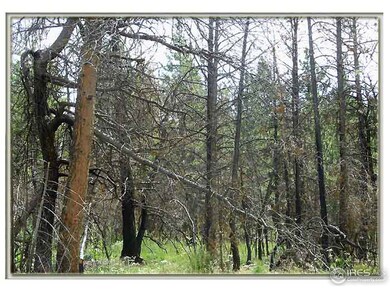 0 Whale Rock Rd unit 720548, Bellvue, CO 80512 - photo 2