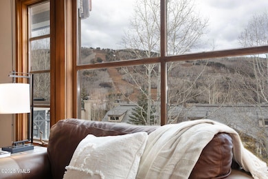 17 Meadow Ct unit 2, Beaver Creek, CO 81620 - photo 4