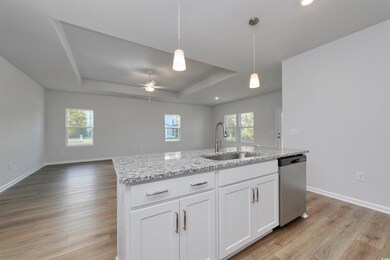 164 Bolsin Ct, Conway, SC 29526 - photo 6