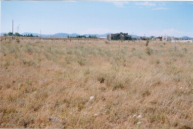 View to the South
