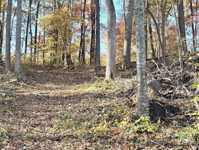 99999 Dix Creek No 1 Rd, Leicester, NC 28748 - photo 4