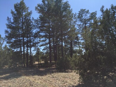 0 Linden unit 219720, Show Low, AZ 85901 - photo 5