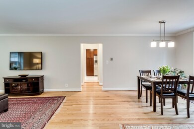 4717 31st St S unit A1, Arlington, VA 22206 - photo 5